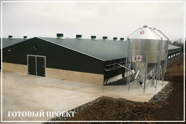 Этапы возведения птицефабрики от завода ВелесТент-брд